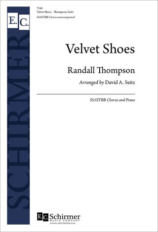 Velvet Shoes