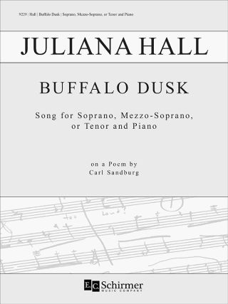 Buffalo Dusk